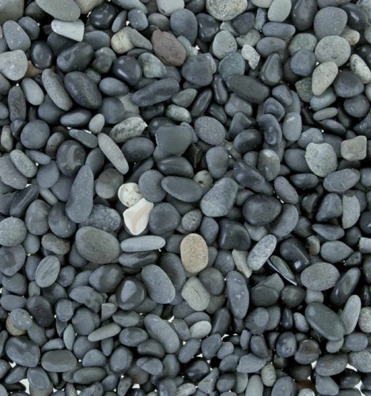 Beach Pebbles zwart 5-8mm - 02 beach pebbles 5 8 groot - Beach Pebbles zwart 5-8mm Midibag