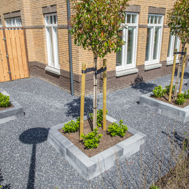 Tuinvisie Wallblock New Zeeuws Bont Strak hoogte 12cm diverse afmetingen - 122242 122501 210392 211415 8 50003964 - Wallblock New Zeeuws 60x12