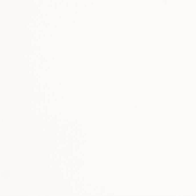 Vantage Blanco Mate 40x120x1,25cm - 2 00277015 vantage blanco mate 40x120 stuk 1 - Vantage Blanco Mate 40x120