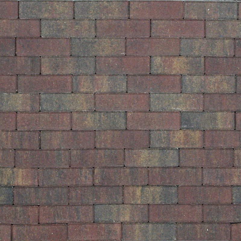 Tremico Betonstraatsteen Bont 6cm dikte diverse afmetingen - 206913 tremico dikformaat 67x20x6 cm bont 50000266 - Tremico Bont 20x5x6cm