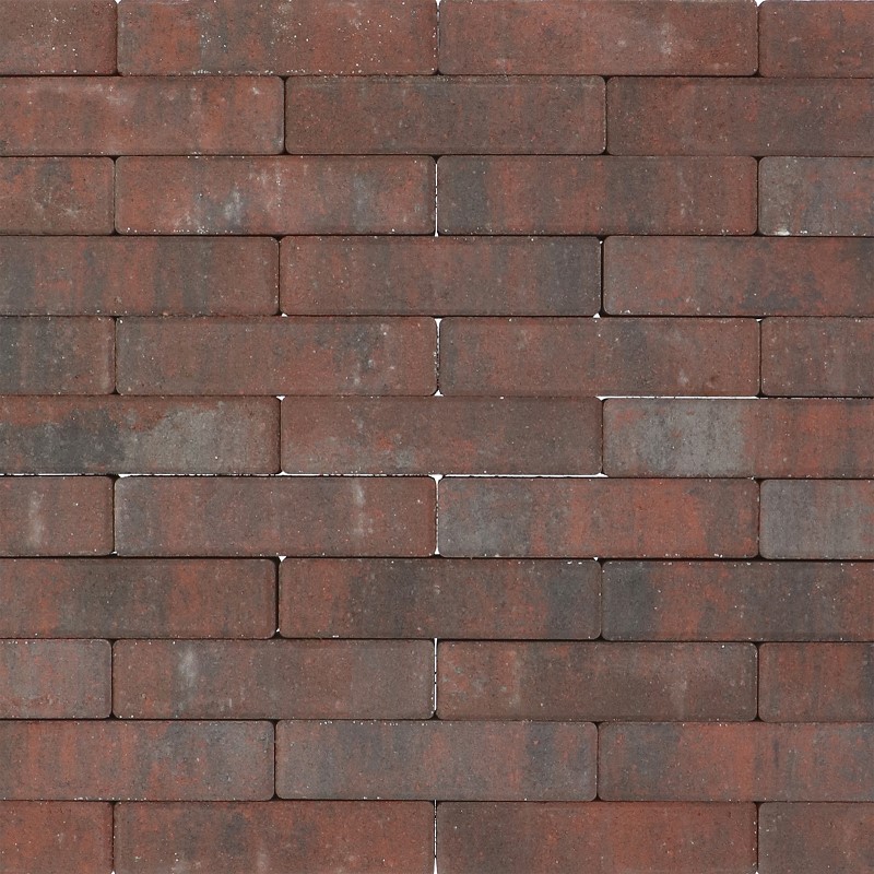 Tremico Betonstraatsteen Twents Bont 6cm dikte diverse afmetingen - 208850 tremico waalformaat 20x5x6 cm twents bont m 50006383 - Tremico Twents Bont 20x5x6cm