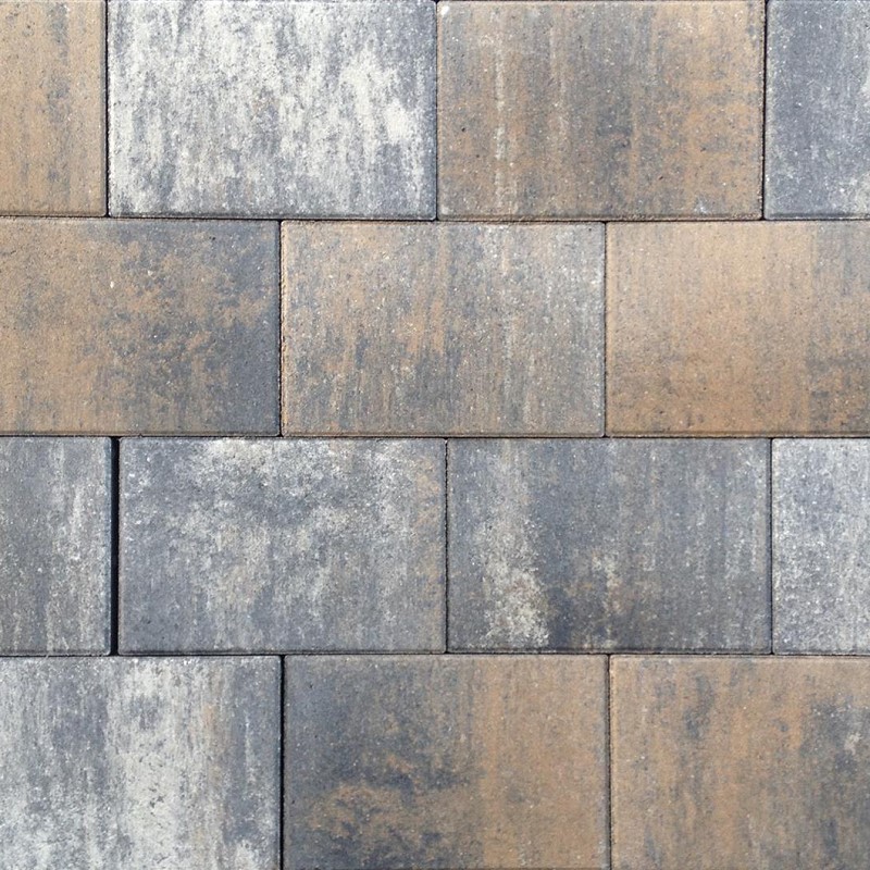 Tremico Betonstraatsteen Texels Bont 6cm dikte diverse afmetingen - 209111 tremico 20x30x6 cm texels bont 50002784 - Tremico Texels Bont 20x5x6cm