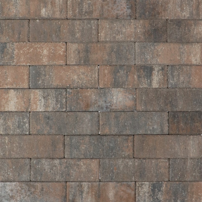 Tremico Betonstraatsteen Texels Bont 6cm dikte diverse afmetingen - 211385 tremico dikformaat 20x67x6 cm texels bont m 50005723 - Tremico Texels Bont 20x5x6cm