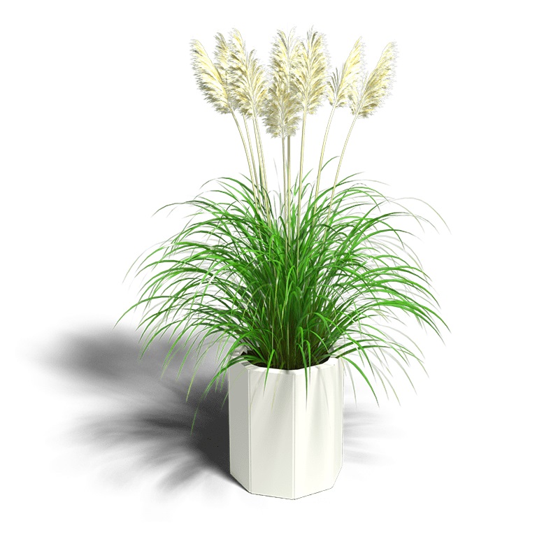 Gepoedercoat Staal Plantenbak Chicago 20 diverse hoogtes - Chicago 20x40 ral9010 1 - Gepoedercoate Chicago 20 Hoogte 30cm