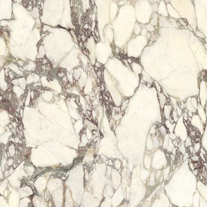 Ariostea Ultra Marmi Calacatta Viola Lucidato Shiny diverse afmetingen - Marble effect floors calacatta viola 01 - Ariostea Calacatta Viola Shiny 37,5x75cm