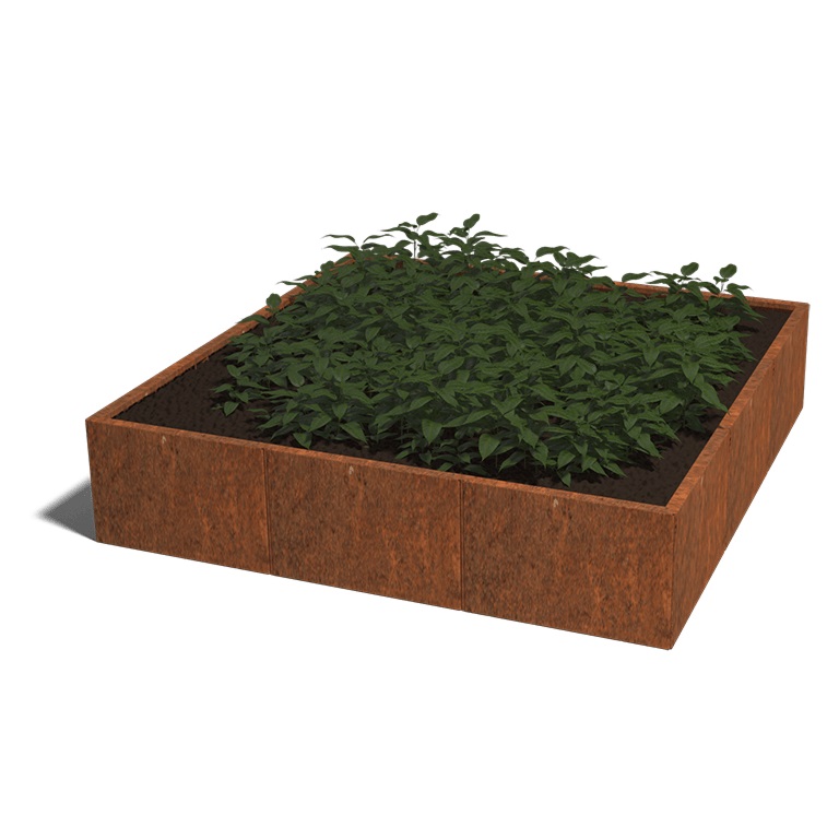 Cortenstaal Plantenbak Miami XXL 180x180cm diverse hoogtes - Miami xxl 180x180x40 corten 1 - Cortenstaal Plantenbak Miami 180x180x30cm