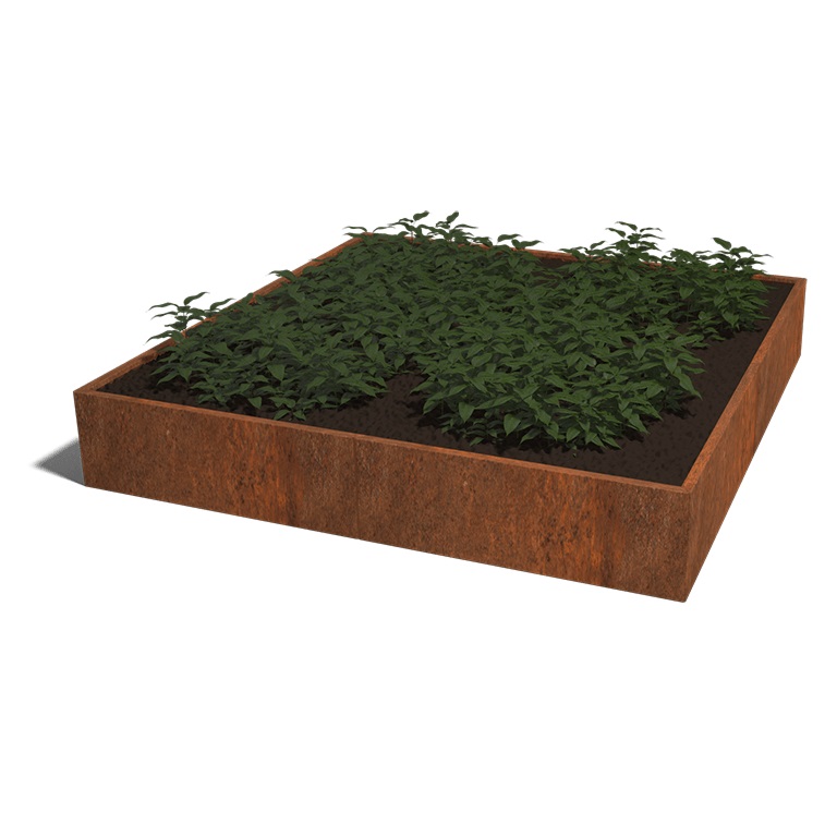 Cortenstaal Plantenbak Miami XXL 240x240cm diverse hoogtes - Miami xxl 240x240x40 corten 1 - Cortenstaal Plantenbak Miami 240x240x30cm