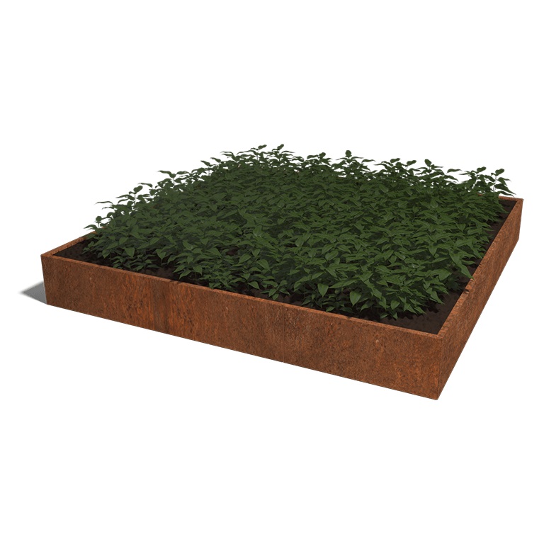 Cortenstaal Plantenbak Miami XXL 300x300cm diverse hoogtes - Miami xxl 300x300x40 corten 1 - Cortenstaal Plantenbak Miami 300x300x30cm