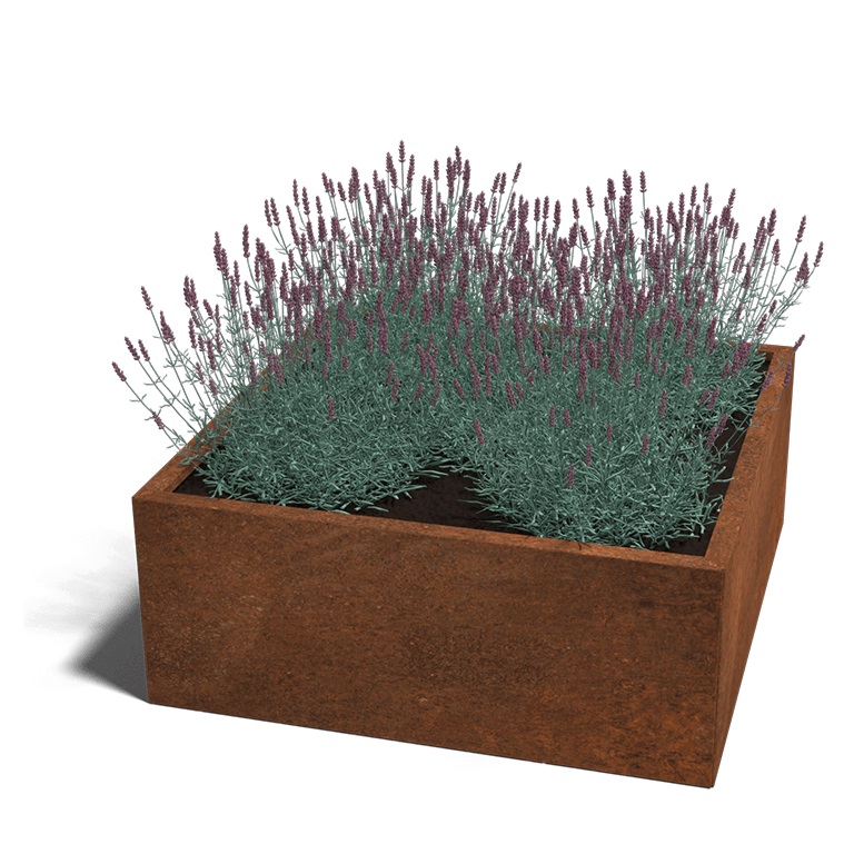 Cortenstaal Plantenbak Miami 100x100cm diverse hoogtes - Miami100x100x40 corten 1 - Cortenstaal Plantenbak Miami 100x100x30cm