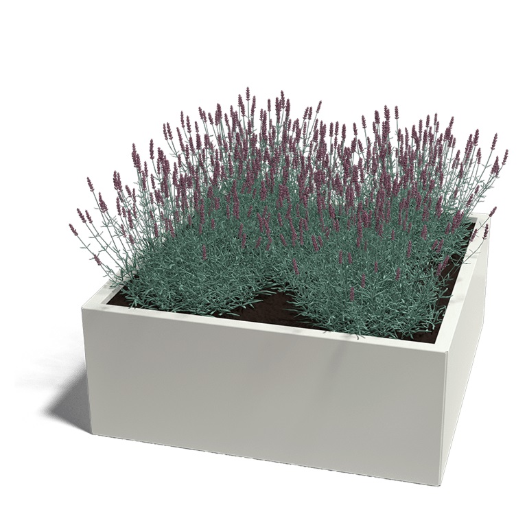 Gepoedercoat Staal Plantenbak Miami 100x100cm diverse hoogtes - Miami100x100x40 ral9010 1 - Gepoedercoate Plantenbak Miami 100x100x30cm