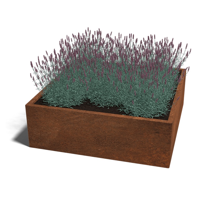 Cortenstaal Plantenbak Miami 120x120cm diverse hoogtes - Miami120x120x40 corten 1 - Cortenstaal Plantenbak Miami 120x120x30cm