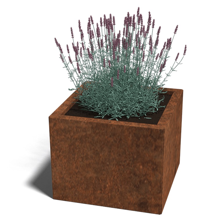 Cortenstaal Plantenbak Miami 50x50cm diverse hoogtes - Miami50x50x40 corten 1 - Cortenstaal Plantenbak Miami 50x50x30cm