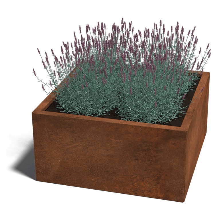 Cortenstaal Plantenbak Miami 80x80cm diverse hoogtes - Miami80x80x40 corten 1 - Cortenstaal Plantenbak Miami 80x80x30cm