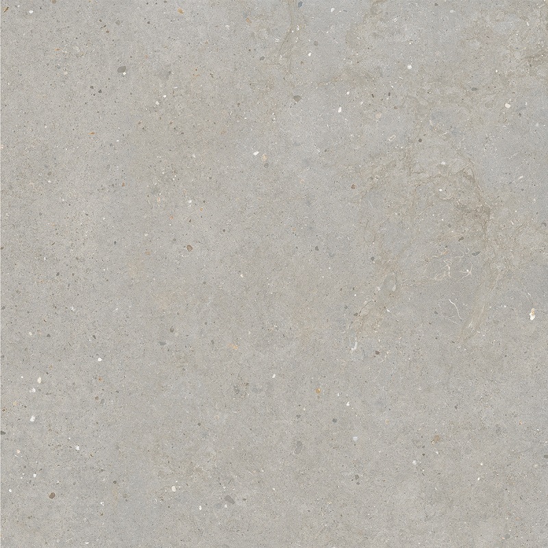 Omnia Pirenei Silver spazzalato diverse afmetingen - Omnia pirenei silver 80x80 2 - Omnia Pirenei Silver spazzalato 40x80