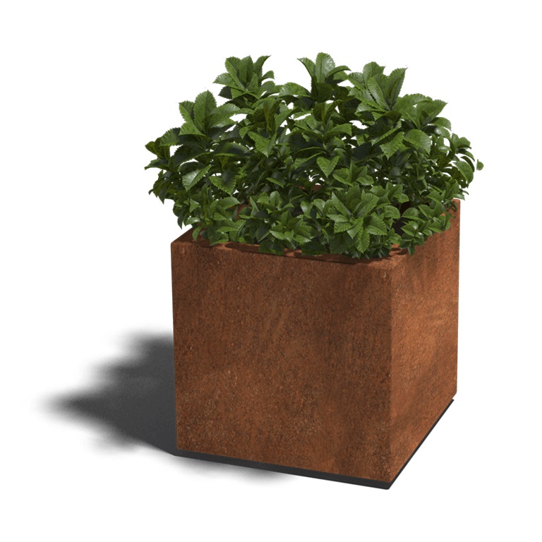 Cortenstaal Gelaste Plantenbak Montana 50x50x50cm - Pb las co 50x50x50 bodem corten - Cortenstaal Plantenbak Montana 50x50x50cm