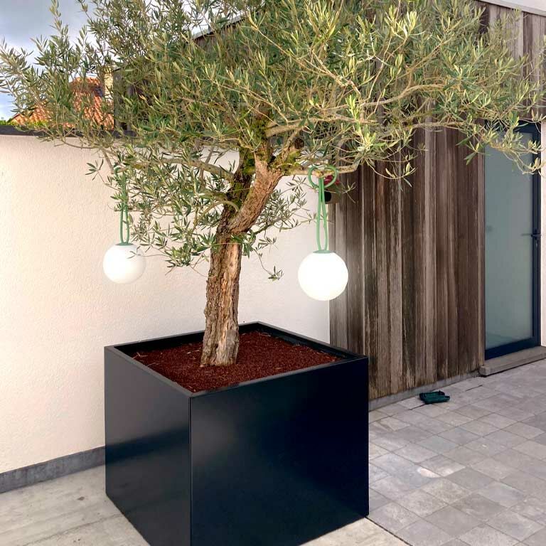 Gepoedercoat Staal Plantenbak Miami 100x100cm diverse hoogtes - Pbcomi1000x1000x800ral9005 - Gepoedercoate Plantenbak Miami 100x100x30cm