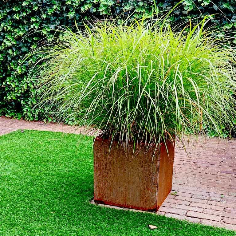 Cortenstaal Plantenbak Miami 40x40cm diverse hoogtes - Pbcomi400x400x400 8 - Cortenstaal Plantenbak Miami 40x40x30cm