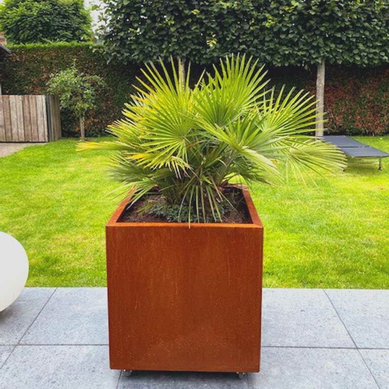 Cortenstaal Plantenbak Miami 70x70x70cm - Pbcomi700x700x700 5 1 - Cortenstaal Plantenbak Miami 70x70x70cm