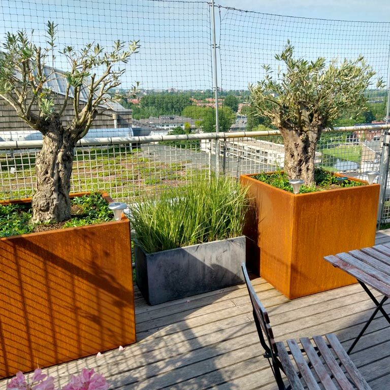 Cortenstaal Plantenbak Miami 80x80cm diverse hoogtes - Pbcomi800x800x800 5 1 - Cortenstaal Plantenbak Miami 80x80x30cm