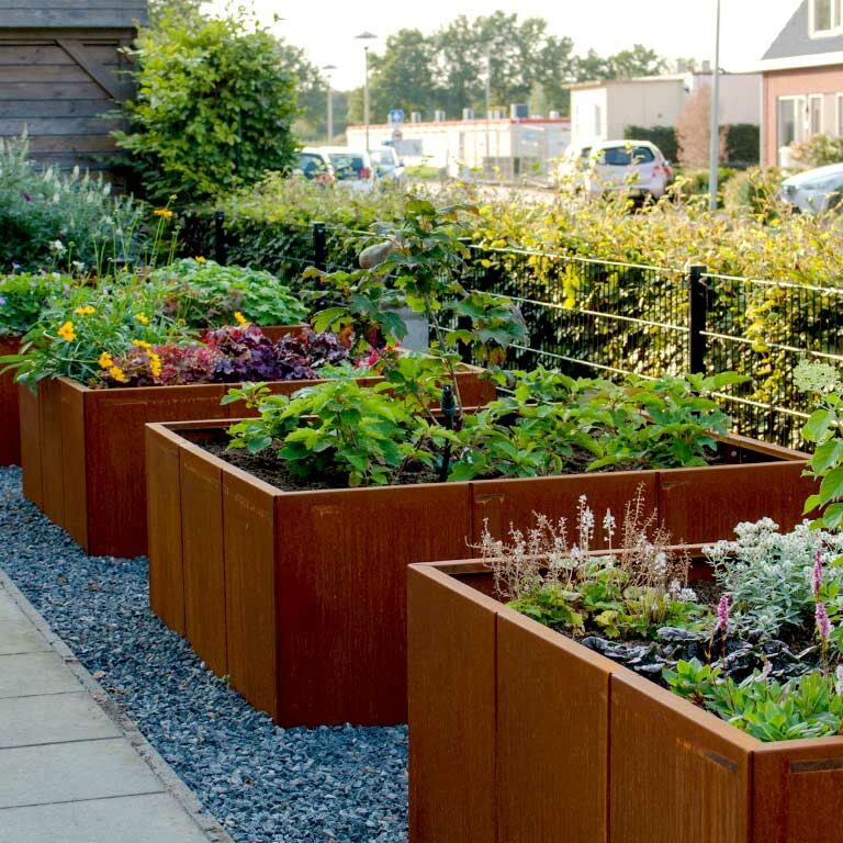 Cortenstaal Plantenbak Miami XXL 150x150cm diverse hoogtes - Pbcomixl1500x1500x800 2 - Cortenstaal Plantenbak Miami 150x150x30cm