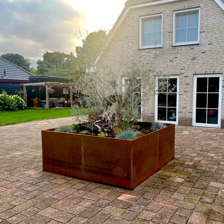 Cortenstaal Plantenbak Miami XXL 240x240cm diverse hoogtes - Pbcomixl2400x2400x600 - Cortenstaal Plantenbak Miami 240x240x30cm