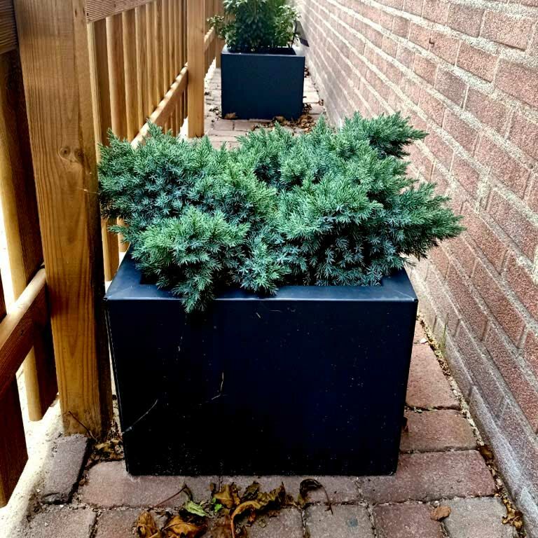 Gepoedercoat Staal Plantenbak Miami 40x40cm diverse hoogtes - Pbpcmi400x400x300ral7016 2 1 1 - Gepoedercoate Plantenbak Miami 40x40x30cm