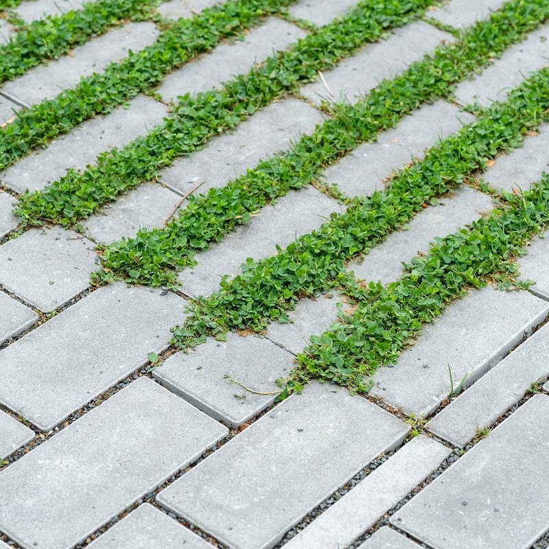 Eco Solution seamstone small 25x12,5x10cm - Seamstone small 3 - Eco Solution seamstone small