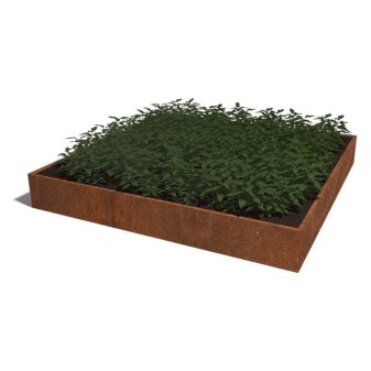 Cortenstaal Plantenbak Miami XXL 300x300cm diverse hoogtes - Miami xxl 300x300x40 corten 1 - Cortenstaal Plantenbak Miami 300x300x30cm