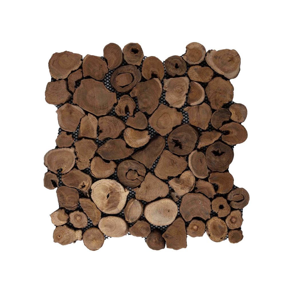 Houtpaneel 04 munt wortel - Woodpanel 04 coin - BN113 paneel 04 munt wortel